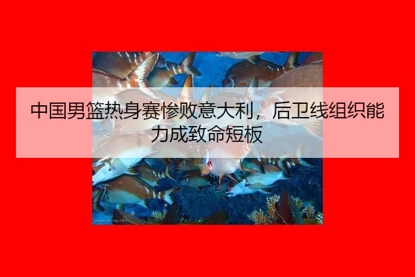 zhong-guo-nan-lan-re-shen-sai-can-bai-yi-da-li-hou-wei-xian-zu-zhi-neng-li-cheng-zhi-ming-duan-ban-3-985.jpg