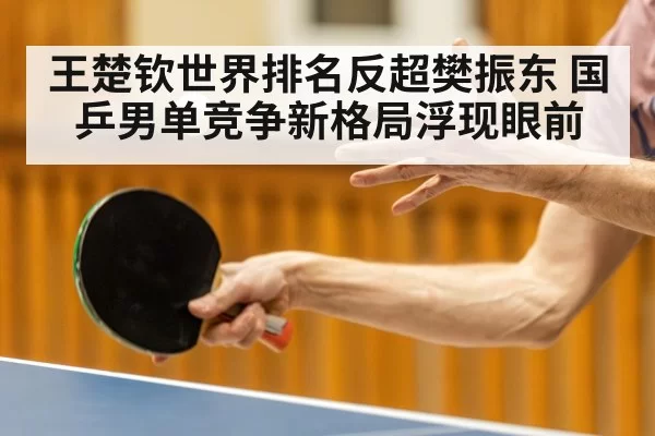 王楚钦世界排名反超樊振东 国乒男单竞争新格局浮现眼前